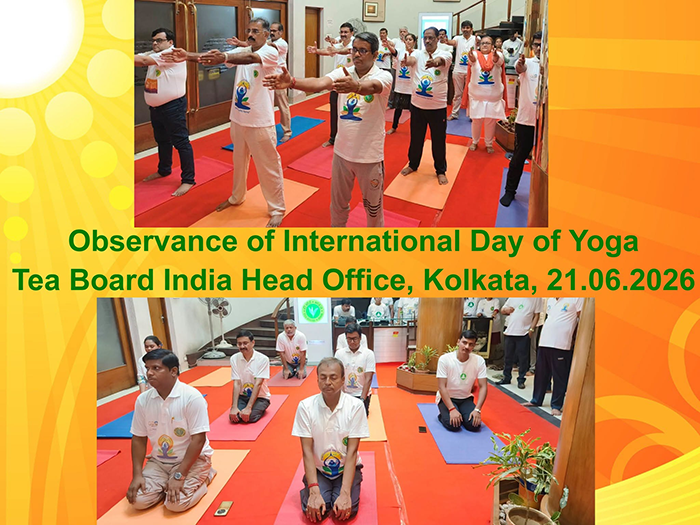 Yoga Day celebrations at Tea Board head office
